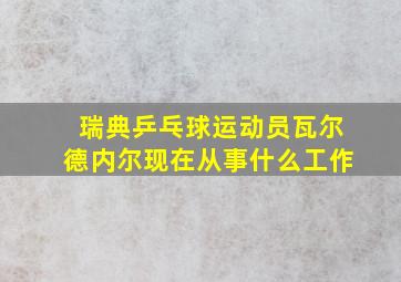 瑞典乒乓球运动员瓦尔德内尔现在从事什么工作