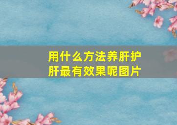 用什么方法养肝护肝最有效果呢图片