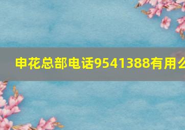 申花总部电话9541388有用么