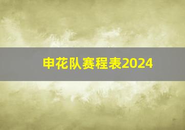 申花队赛程表2024