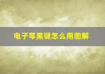 电子琴黑键怎么用图解