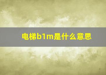 电梯b1m是什么意思