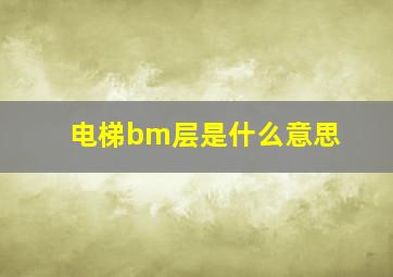 电梯bm层是什么意思