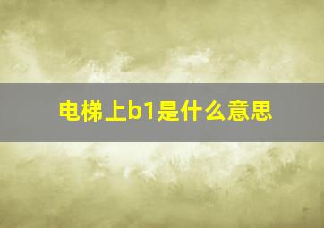 电梯上b1是什么意思