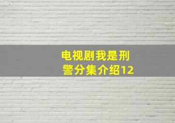 电视剧我是刑警分集介绍12