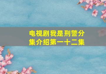 电视剧我是刑警分集介绍第一十二集