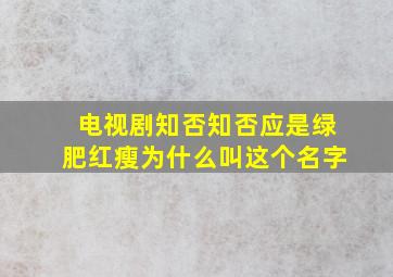 电视剧知否知否应是绿肥红瘦为什么叫这个名字