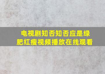 电视剧知否知否应是绿肥红瘦视频播放在线观看