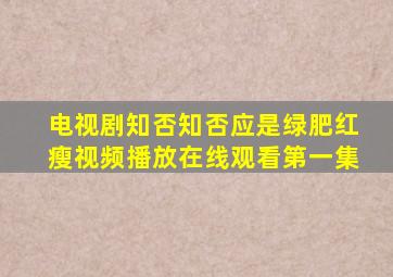 电视剧知否知否应是绿肥红瘦视频播放在线观看第一集