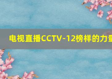 电视直播CCTV-12榜样的力量