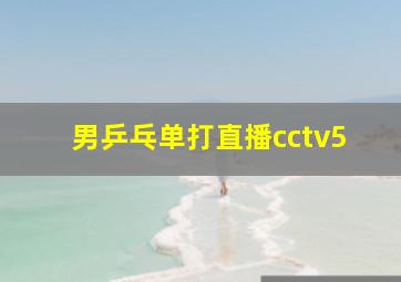 男乒乓单打直播cctv5