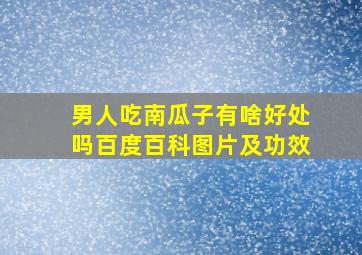 男人吃南瓜子有啥好处吗百度百科图片及功效