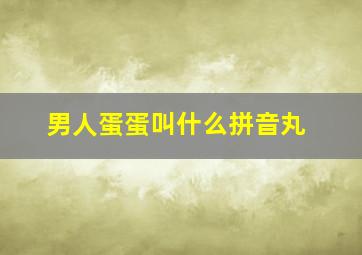 男人蛋蛋叫什么拼音丸