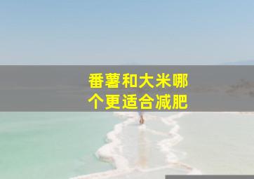 番薯和大米哪个更适合减肥