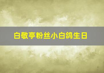 白敬亭粉丝小白鸽生日