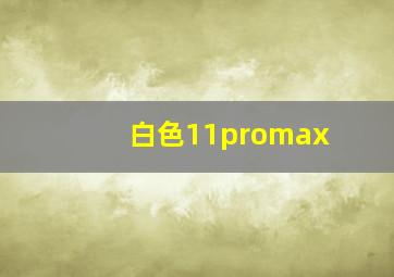 白色11promax