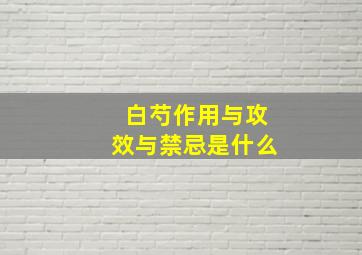 白芍作用与攻效与禁忌是什么