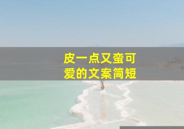 皮一点又蛮可爱的文案简短