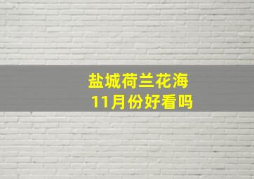 盐城荷兰花海11月份好看吗