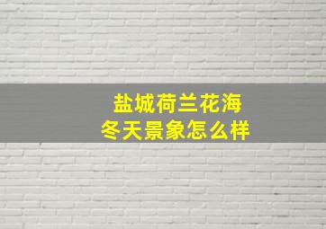 盐城荷兰花海冬天景象怎么样