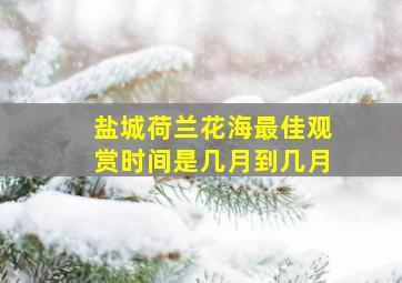 盐城荷兰花海最佳观赏时间是几月到几月