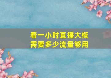 看一小时直播大概需要多少流量够用