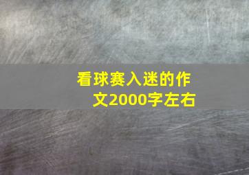 看球赛入迷的作文2000字左右