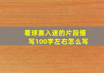 看球赛入迷的片段描写100字左右怎么写