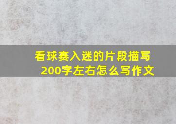 看球赛入迷的片段描写200字左右怎么写作文