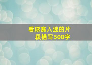 看球赛入迷的片段描写300字