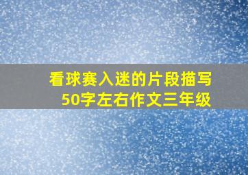 看球赛入迷的片段描写50字左右作文三年级