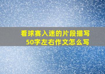 看球赛入迷的片段描写50字左右作文怎么写