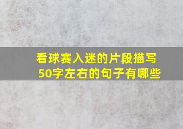 看球赛入迷的片段描写50字左右的句子有哪些