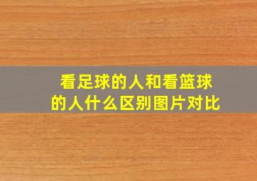 看足球的人和看篮球的人什么区别图片对比