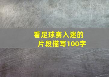 看足球赛入迷的片段描写100字