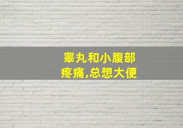 睾丸和小腹部疼痛,总想大便