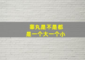 睾丸是不是都是一个大一个小