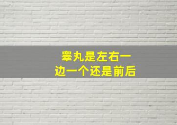 睾丸是左右一边一个还是前后