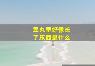 睾丸里好像长了东西是什么