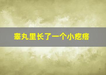 睾丸里长了一个小疙瘩