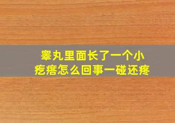 睾丸里面长了一个小疙瘩怎么回事一碰还疼