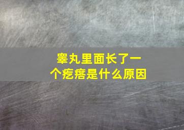 睾丸里面长了一个疙瘩是什么原因