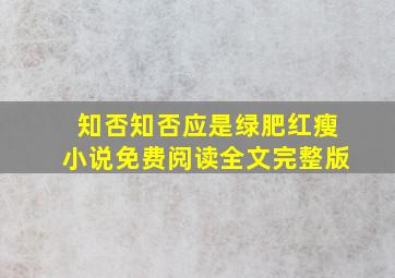 知否知否应是绿肥红瘦小说免费阅读全文完整版