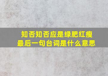 知否知否应是绿肥红瘦最后一句台词是什么意思