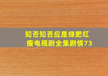 知否知否应是绿肥红瘦电视剧全集剧情73