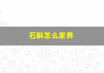 石斛怎么家养