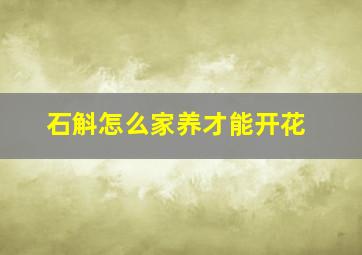 石斛怎么家养才能开花