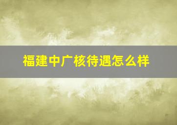 福建中广核待遇怎么样