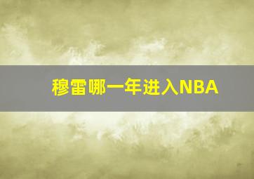 穆雷哪一年进入NBA