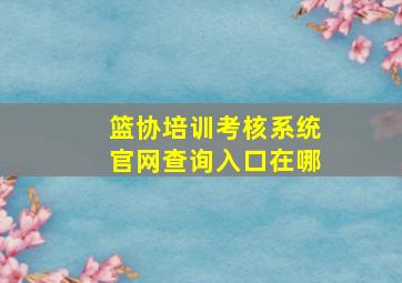 篮协培训考核系统官网查询入口在哪